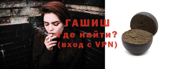 гидра Туринск