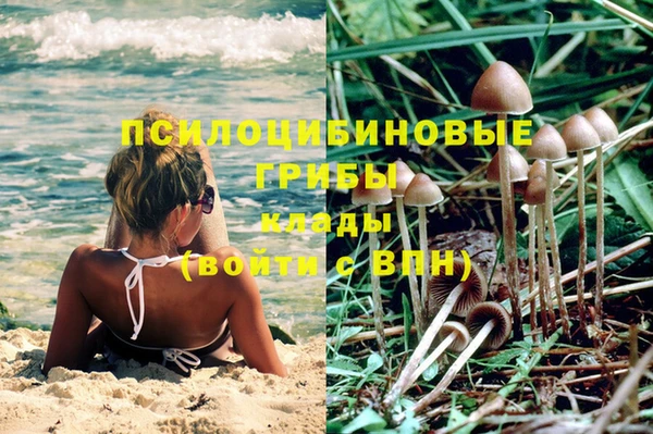 соль ск Тихорецк