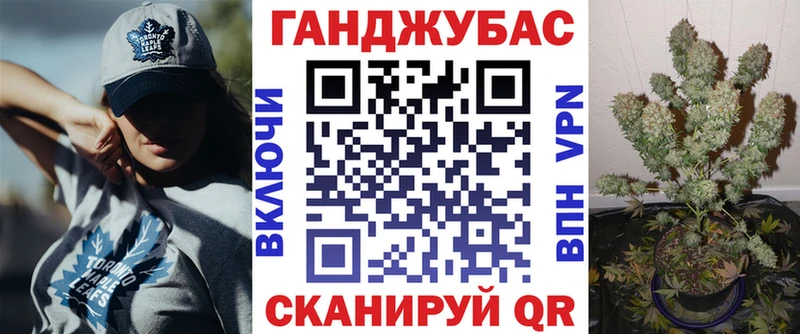 купить закладку  Ессентукская  Конопля гибрид 